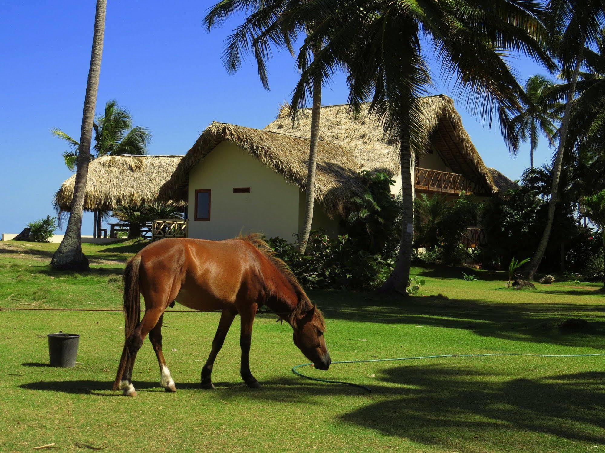Villa Punta Coral El Francés 외부 사진